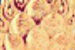 cropped-Norbu_logo.jpg